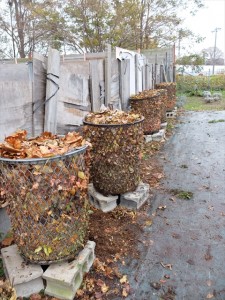 151031-145638-DSCF2447_R