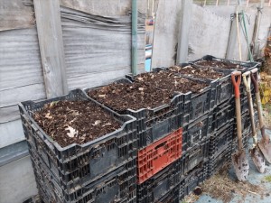 151031-145647-DSCF2448_R