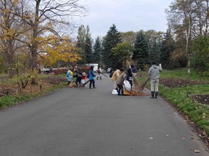 落ち葉集め（園路）