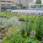 陽だまり啓明バスターミナル