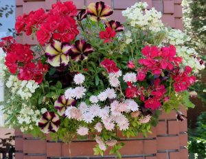 ハンギング（右）作業前_R