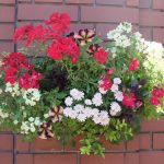 ハンギング（右）作業後