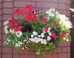 ハンギング（右）作業後