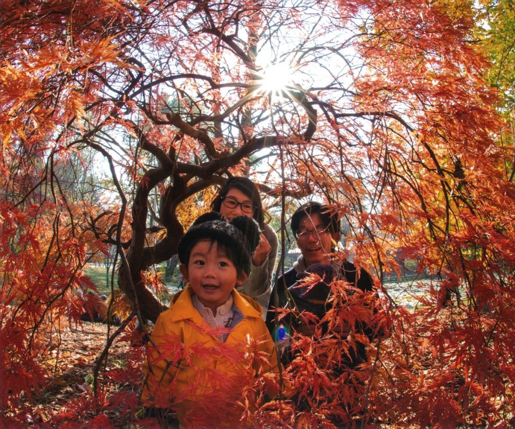 %e5%9b%9b%e5%84%aa70%e3%80%8c%e7%b4%85%e8%91%89%e3%81%ae%e9%a1%8d%e7%b8%81%e3%80%8d%e5%b9%b3%e5%b4%8e%e9%80%b2trimmed_r