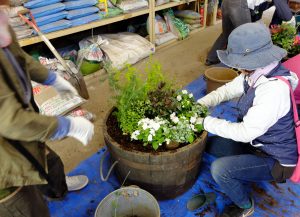 苗を植えこむ様子。