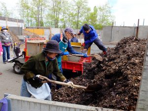 落ち葉堆肥を積み込む様子
