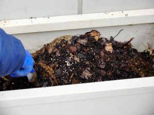 土・堆肥・マグァンプを混ぜている様子