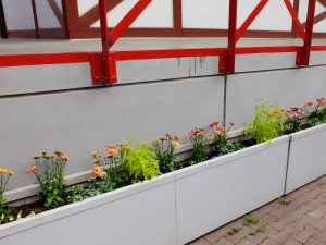 駅舎前コンテナ(植え込み後)