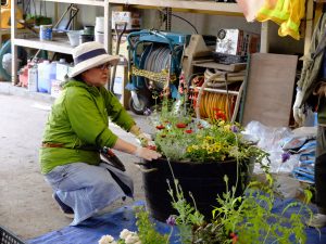 コンテナ花壇実習(宮崎さん)