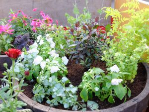 世界の庭園前コンテナ樽