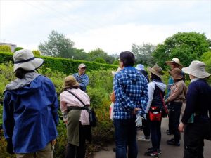 ツツジの選定について説明