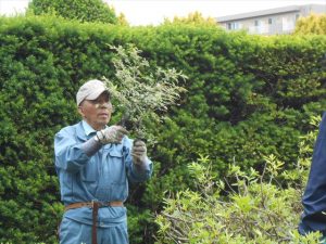 小さくする選定方法の説明