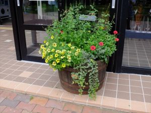 緑のセンター前のコンテナ 7/21