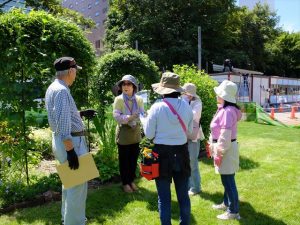 グループにわかれて自己紹介。なごやかな雰囲気のなか作業開始。