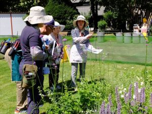 花壇のひとつひとつの植物について、リラの会のみなさんが説明。受講者のみんさんも真剣に耳を傾けます。
