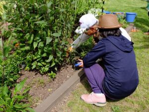 捕植の様子。配置についてひとりひとり細かくアドバイスしてくれます。