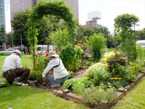 ホップの小径(北側)スポンサー企業にちなんだ ホップのアーチと、牧歌的な北海道をイメージした温かみのある色使いが特徴。