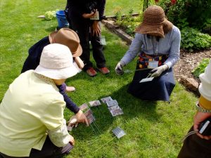 プレート設置の様子。早速わかるものから挿していきましょう。これならわかるかなぁ？