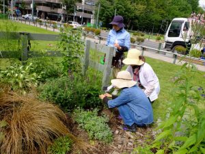 プレート設置の様子。これはどれですか？この植物のプレートですよ、とリラの会のみなさんがしっかり教えてくれます。