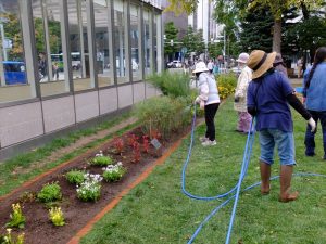 花壇のフチもきれいにします