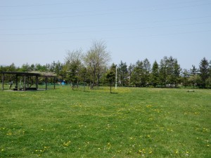 hiroba 芝生広場