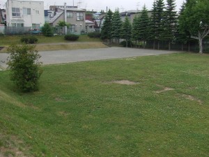 多目的広場の写真