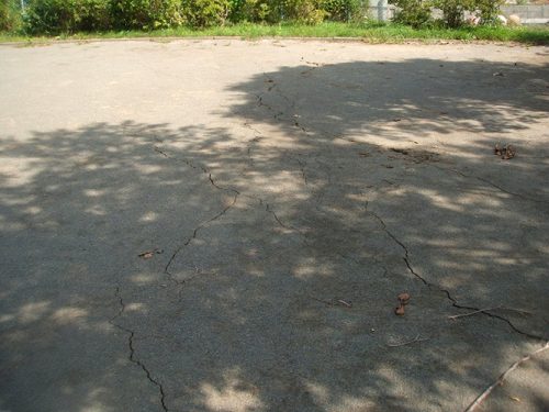 台風・地震による被害状況（地面の亀裂）