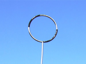 芽生えの塔の写真2