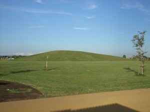 ひろびろ原っぱ＆ながめの丘の写真1