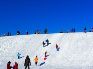 ひろびろ原っぱ＆ながめの丘の写真2