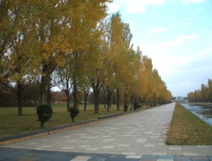 ポプラとカナールの写真