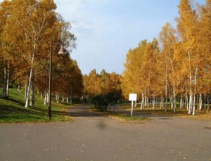 入り口に入った途端の写真