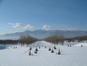 冬のカナールの写真