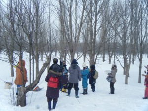 自然観察会（冬）