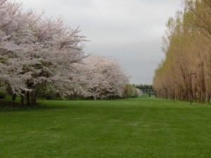 「今日の前田森林公園」の画像