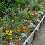 「さっぽろ緑花園芸学校」の画像