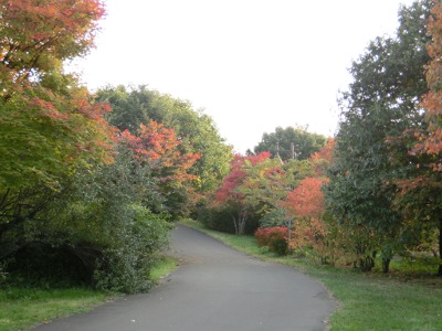 「前田森林公園の秋の景色」の画像