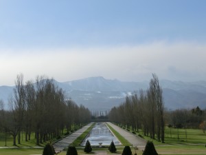 「野球場・球技場のご利用ありがとうございました」の画像