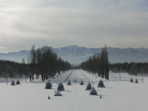 「冬のアクティビティのご案内」の画像