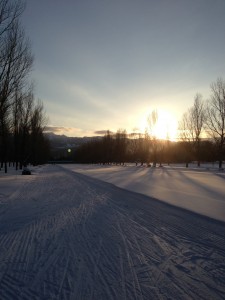 「週末のお出かけは前田森林公園へ！」の画像