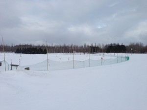 「本日の前田森林公園」の画像