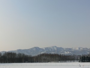 「2月13日：本日の前田森林公園」の画像