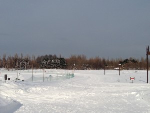 「本日の営業のご案内」の画像