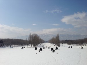 「春遠し」の画像