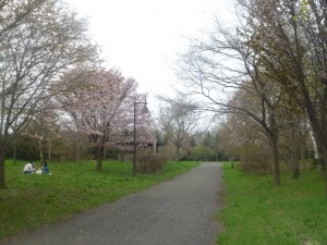「５月１８日　公園の様子」の画像