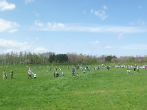 「5月21日　公園の様子」の画像