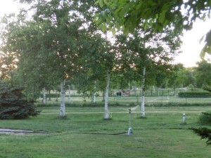 「パークゴルフ場における灌水作業のお知らせ」の画像