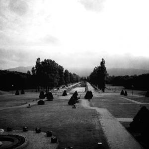 「カナール工事と、夏のアレコレ」の画像