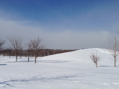 「謹賀新年＋冬も前田森林公園！」の画像