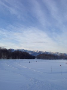 「今朝の前田森林公園」の画像